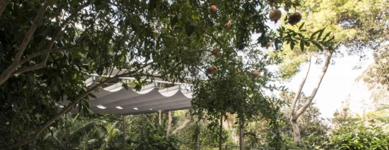 Bienvenidos a la jungla, bienvenidos a casa.