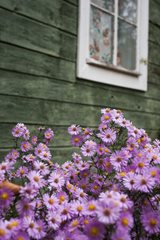 mekht-TcvCY8SnoVg-unsplash-(2).jpg