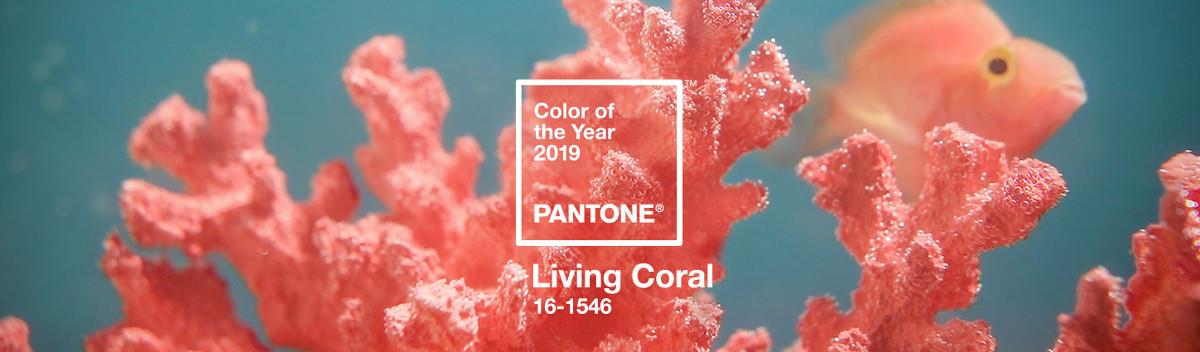 Living Coral : couleur Pantone 2019 pour un extérieur vivant et coloré 