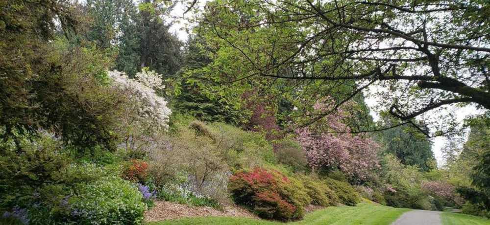 Jardins en pente : matériaux, plantes et conseils utiles