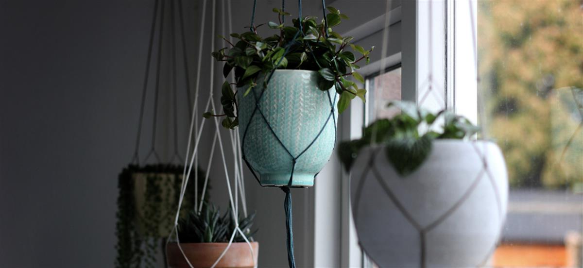 Giardini sospesi: decorare outdoor e indoor creando uno sky planter