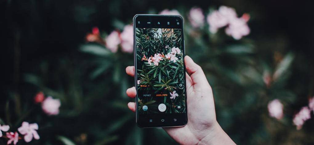 Groene duim omhoog: apps voor de verzorging van de tuin via de smartphone