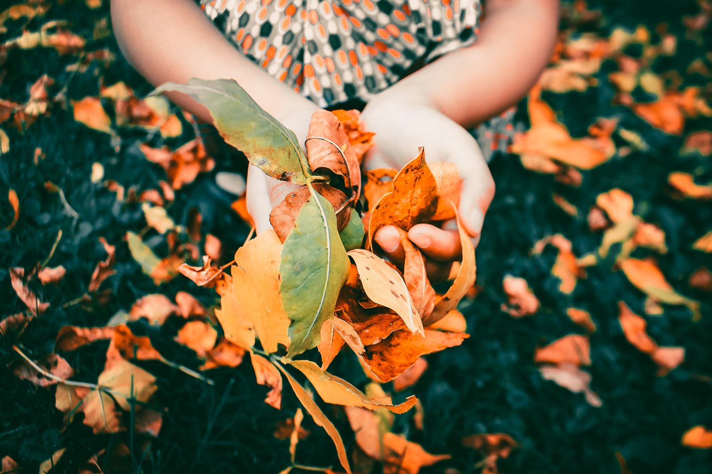 Die Herbstpalette erobert den Außenbereich: Entdecken wir gemeinsam alle Farben der Saison 2022 für eine Einrichtung Ihres Gartens im Comfy-Chic.