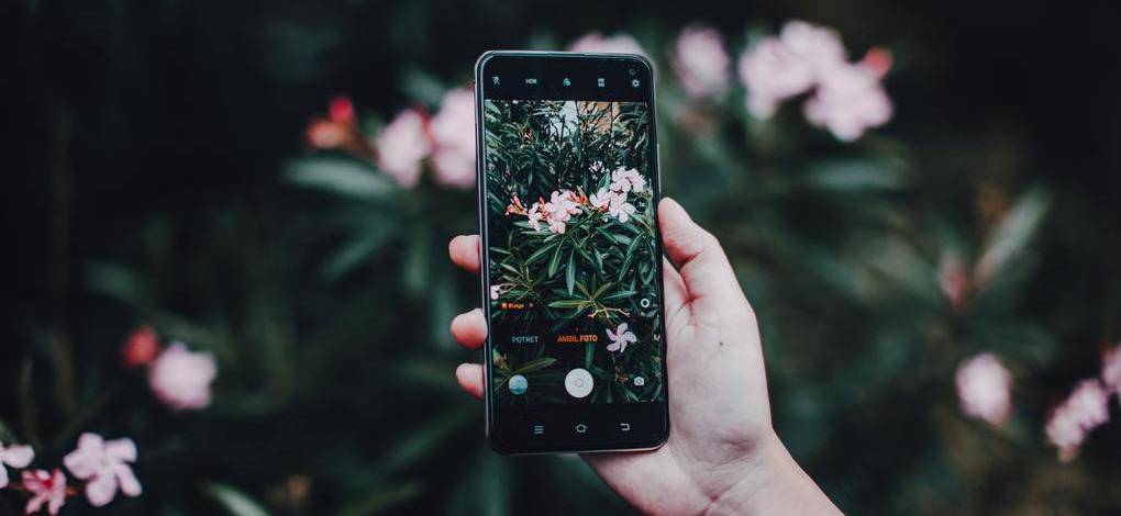 Pouce (vert) en l’air : l’application pour prendre soin du jardin avec son smartphone