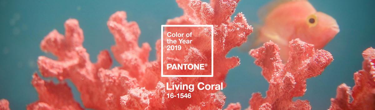 Living Coral: Pantone colour 2019 for a lively and colourful outdoors 